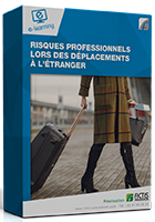 aperçu non contractuel de la formation "risques professionnels lors des déplacements à l'étranger"